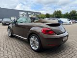 Volkswagen Beetle Cabriolet 70´s Design*NAVI*SHZ*PDC*LEDER* - : Braun, Scheckheftgepflegt