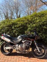 Honda Hornet Cb 600 hornet (A2 tauglich) - HONDA 2003 HORNET 600