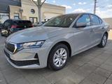 Skoda Octavia 1,5 eTSI DSG Selection ACC Kam Stahlgrau - Skoda Octavia Neuwagen