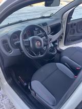 Fiat Panda 312 Zahnriemen, TÜV, Inspektion NEU - Fiat Panda Gebrauchtwagen in Frankfurt