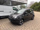 Fiat Panda City Plus Hybrid - Fiat Panda in Ludwigshafen