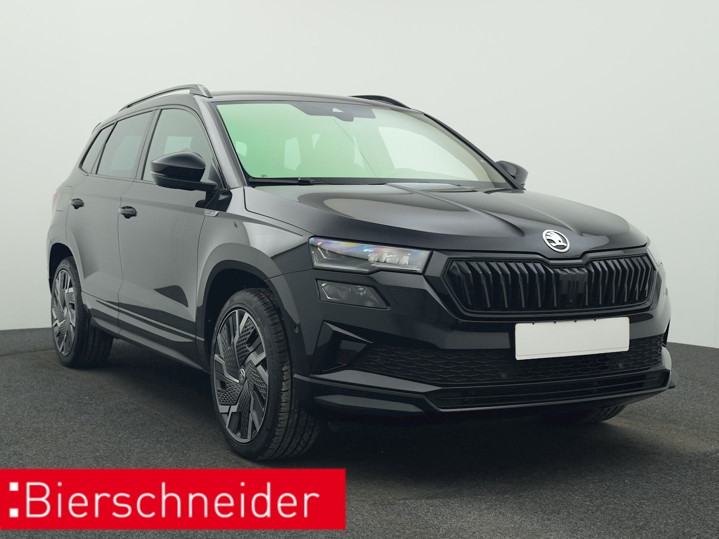Skoda Karoq - Bild 9