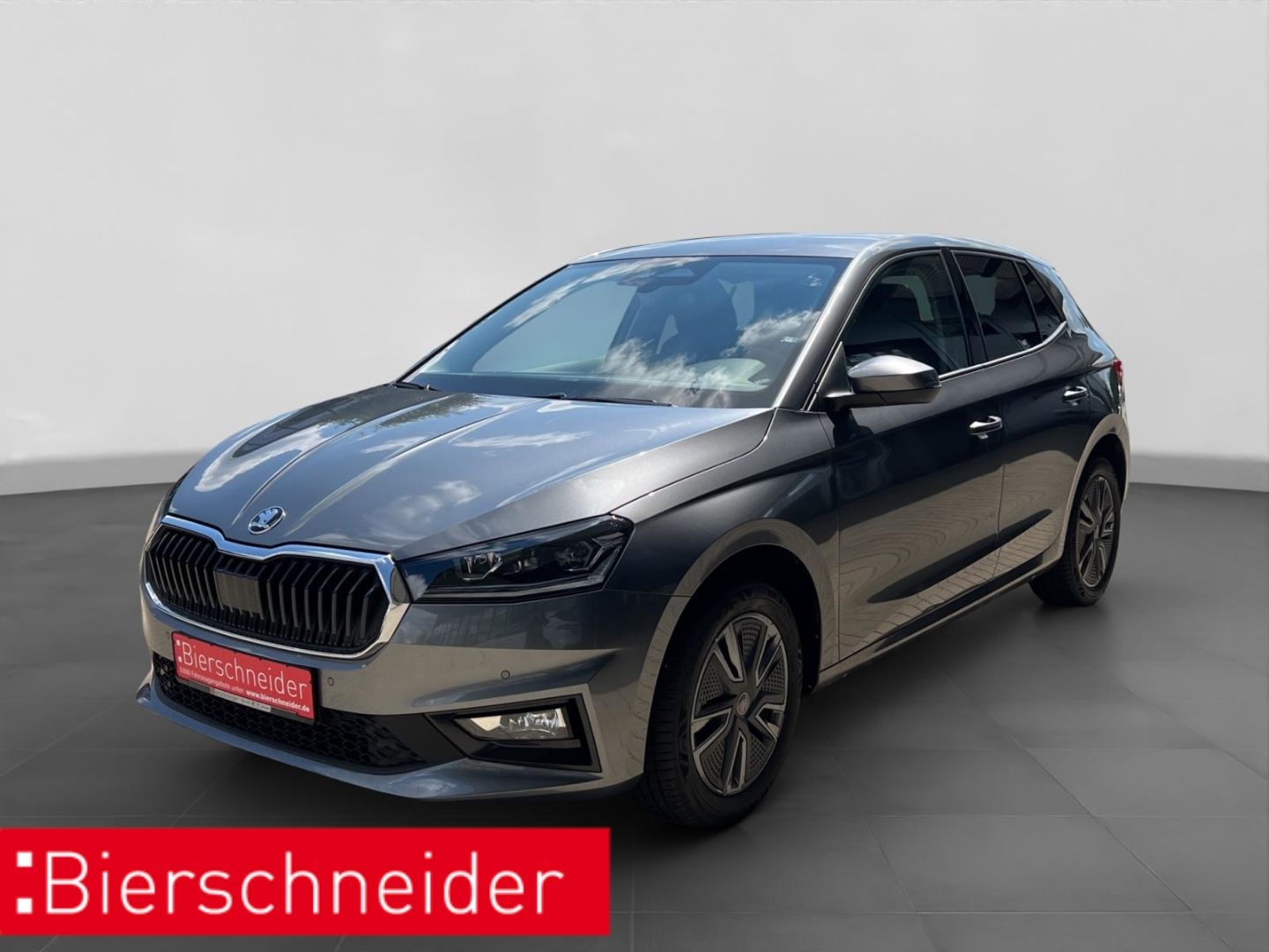 Skoda Fabia 1.0 TSI DSG Balance 5-J-GARANTIE SHZ LED D