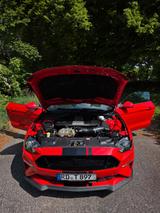 Ford Mustang GT/Motor kam komplett NEU von Ford/Grail - Ford Mustang: Motor