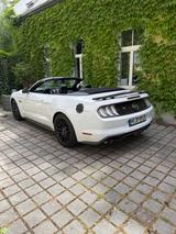 Ford Mustang Cabrio  5.0 Ti-VCT V8 GT Unikat - Ford Mustang Gebrauchtwagen in München
