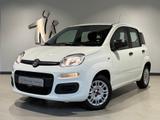 Fiat Panda 1.2 Easy Komfort-Paket Winterräder - Fiat Panda: Easy