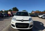 Fiat Panda My Panda Sportsitze Sport Lenkrad - Fiat Panda aus 2014