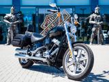 Harley-Davidson FXST Softail Standard SOFORT VERFÜGBAR - Offers