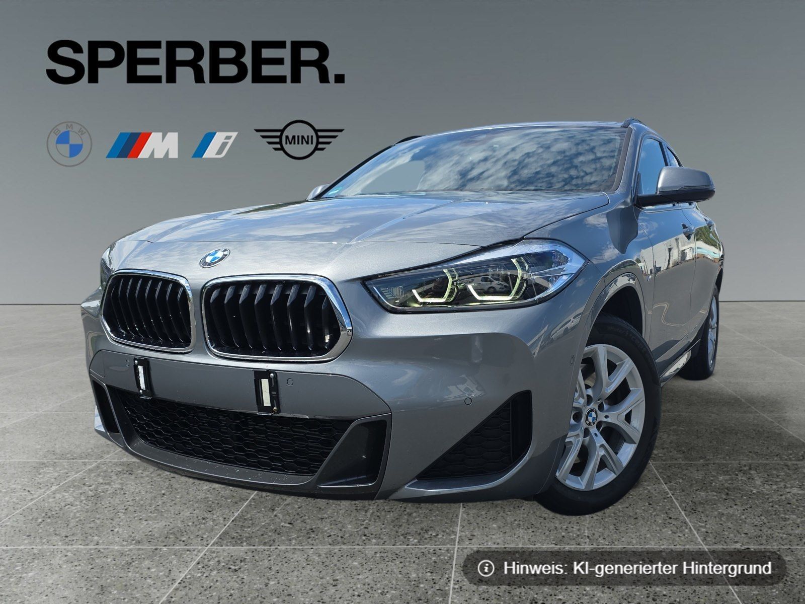 BMW X2 xDrive20i M Sportpaket Head Up Navi Plus DAB foto 1