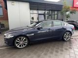 Jaguar XE Portfolio 2.0d PANORAMA/LEDER/KEY-LESS/BIXENO - gebrauchte Jaguar XE aus dem Jahr 2015