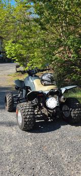 Dinli 450 S - DINLI QUAD