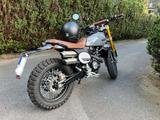 Fantic Caballero Scrambler Deluxe 125 - FANTIC MOTORRAD