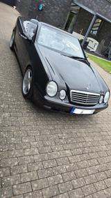 Mercedes-Benz Mercedes CLK 230 Kompressor Cabrio Eleganc... - Mercedes-Benz CLK 230: Kompressor