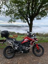 Triumph Tiger 900 GT/Pro - TRIUMPH TIGER 900 GT PRO