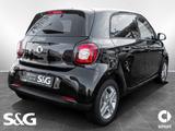Smart ForFour EQ passion Pano+Sidebags+15+Smartph. - Smart ForFour in Halle
