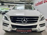 Mercedes-Benz ML 250 AMBIENTE*COMAND*Bi-XENON*R-KAM*SCHIEBEDAC - Mercedes-Benz ML 250 Gebrauchtwagen