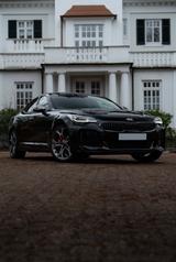 Kia Stinger GT 3.3 Biturbo AWD | 52tkm | unfallfrei  - Kia Stinger Gebrauchtwagen in Hamburg