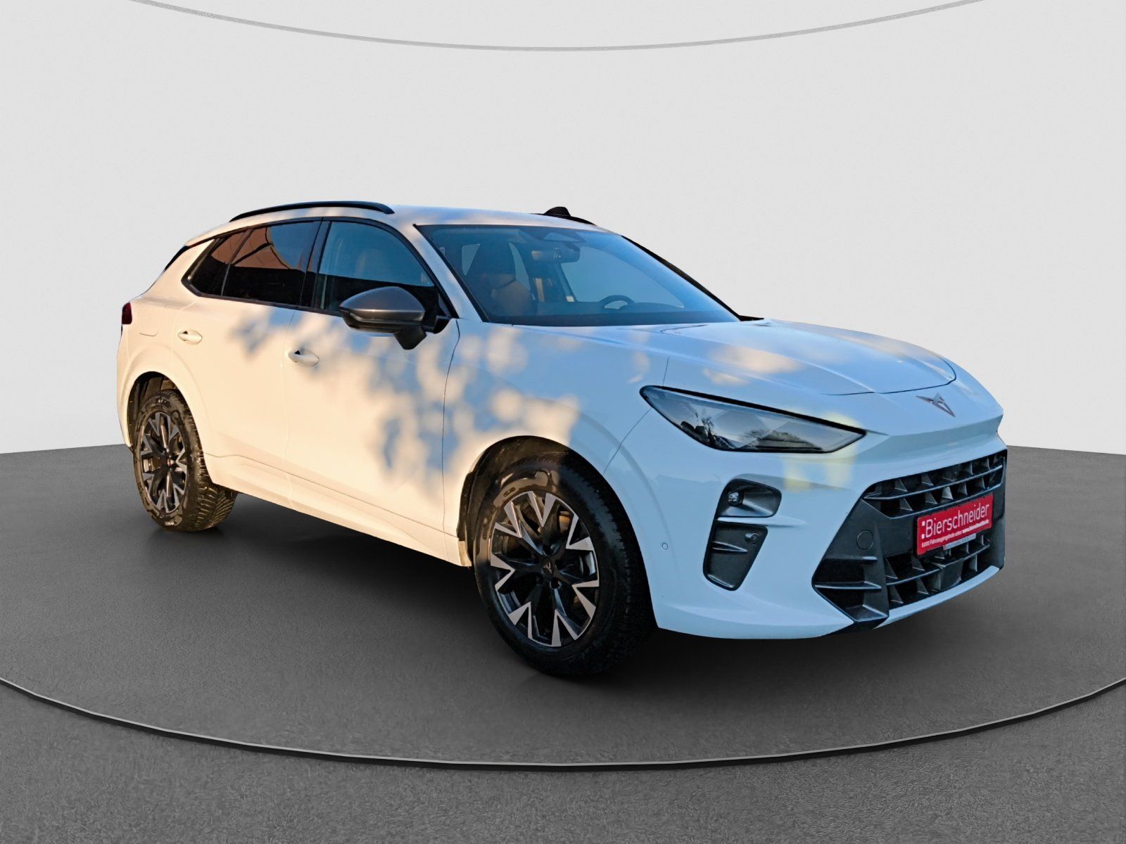 Cupra Terramar - Bild 5