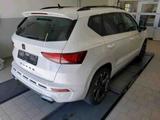 Cupra Ateca VZ 2.0 TSI DSG 4Drive 300PS 360KAM+LED+CAR - Cupra Ateca mit Benzin-Antrieb: Geländewagen, Automatik