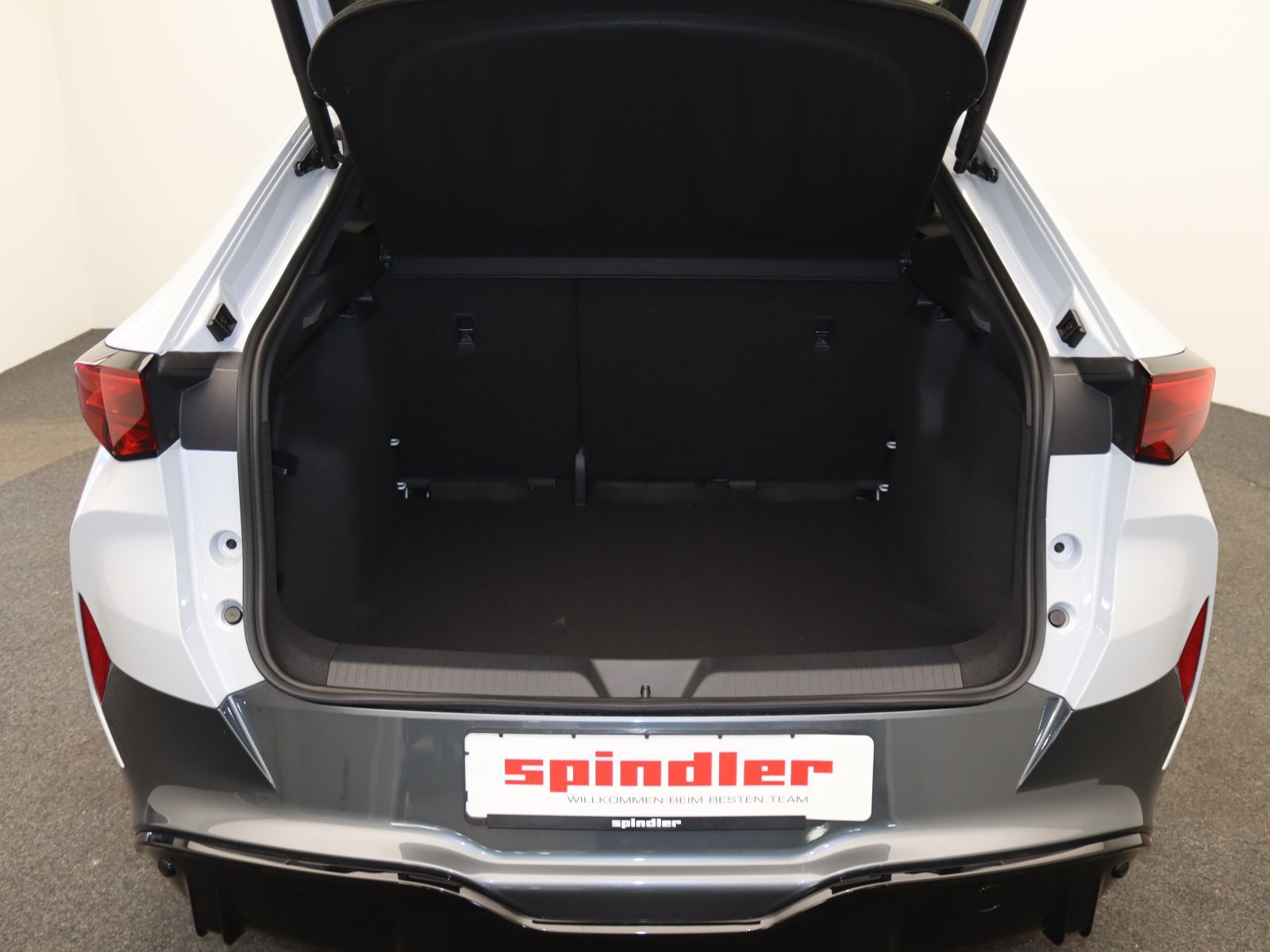 Cupra Tavascan - Bild 15