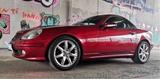 Mercedes-Benz Mercedes Benz SLK 230 Special Edition - Mercedes-Benz: Slk Spec