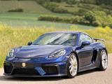Porsche Cayman 718 GT4/Clubsport/Carbon/PCCB/PDLS+/BRD - Porsche Cayman: Gt4