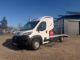 Fiat Ducato - gebrauchte Fiat Ducato aus dem Jahr 2014