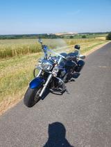 Yamaha XVS 1300A Midnightstar - Offers matching your search criteria