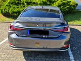 Lexus ES 300 300h Luxury Line HUD, Matrix-Licht, CVD - graue Lexus ES 300