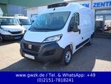 Fiat Ducato 33 L2 Kühlwagen Carrier Xario 350-05 -20° - Offers