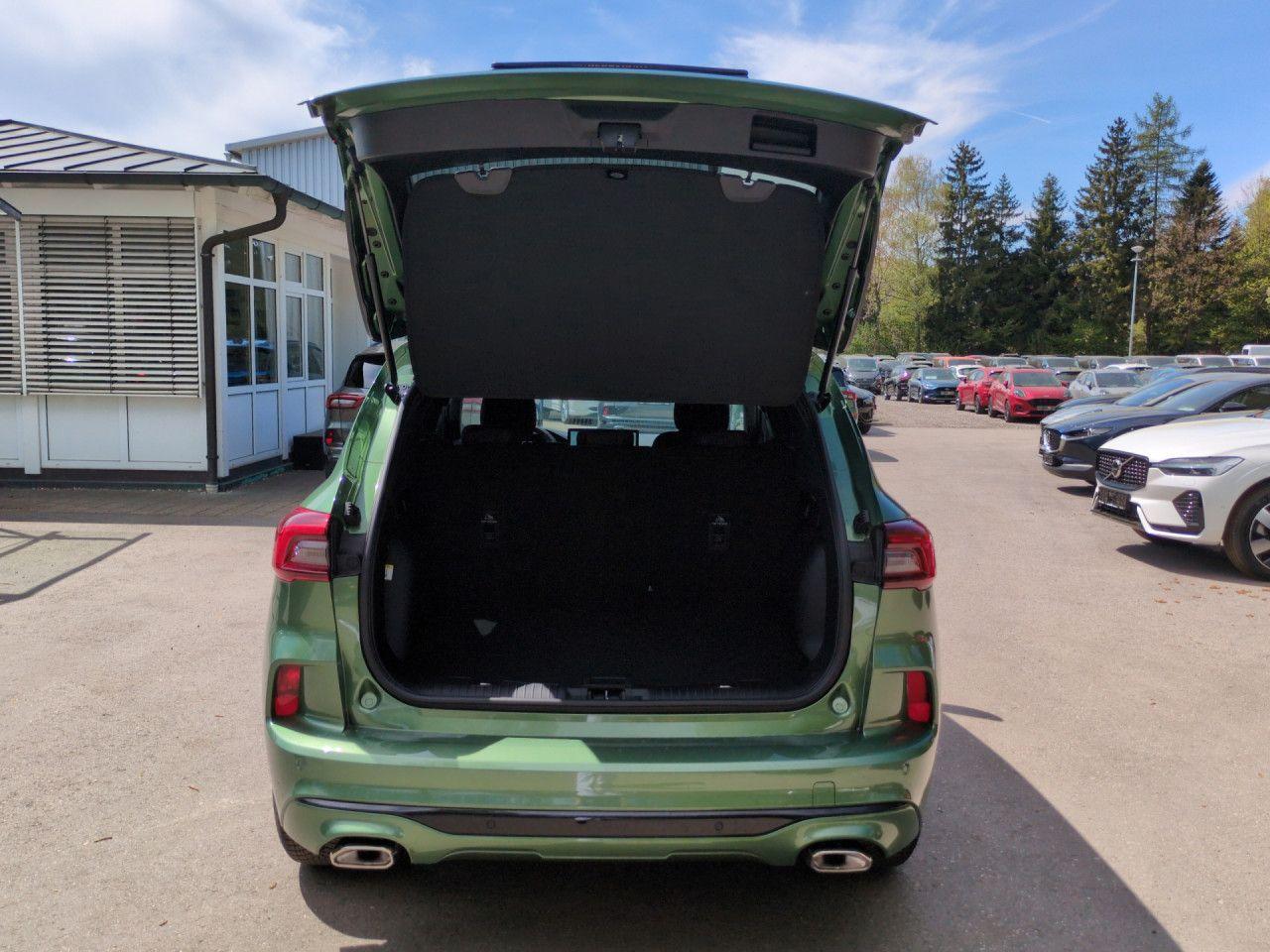 Ford Kuga 1.5 EcoBoost ST-Line Automatik Bluetooth, миниатюра 21