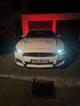 Ford Mustang 2.3 Ecoboost  - gebrauchte Ford Mustang aus dem Jahr 2020