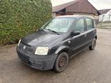 Fiat Panda 1.1 8V Active Kupplung Neu Service Neu - Fiat Panda Gebrauchtwagen in Karlsruhe