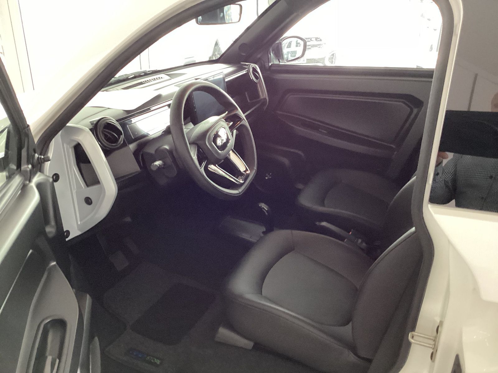 Fahrzeugabbildung Ligier Myli Rückfahrkamera Sitzheitzung Carplay