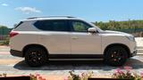 Andere Sangyong Rexton 2,2l Diesel e-XDi 4WD, Zug... - Andere in Bochum