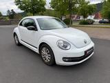 Volkswagen Beetle Lim. Club 2.0 1 HAND - VW Beetle Unfallwagen