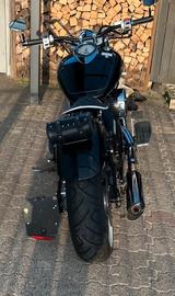 Yamaha XVS 1100 A Drag Star Classic - VP16 - YAMAHA V STAR