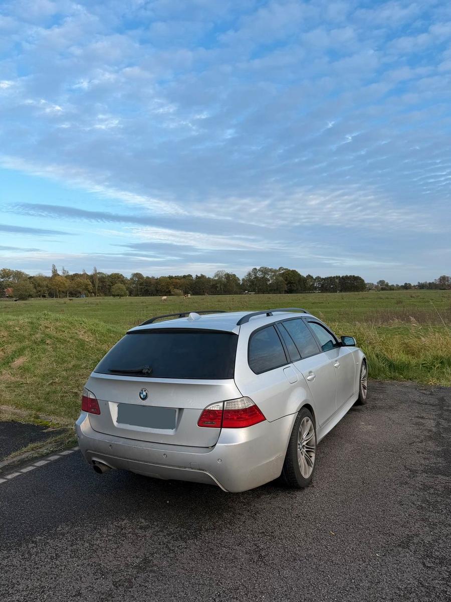 BMW 520 2009 — вигляд ззаду