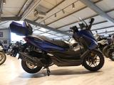 Honda Forza 125 ABS incl. Anlieferung - HONDA ROLLER 125