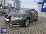Audi A3 1.6 TDI Sportback DPF AHK+SITZHZG+PDC+HU NEU - Audi A3: Sportback Dpf
