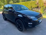 Land Rover Discovery Sport HSE Luxury Leder Pano AHK - Land Rover Discovery: Hse Luxury