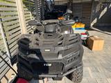 TGB 560 Blade Black Edition  - TGB QUAD BLADE