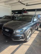 Audi SQ5 3.0 TDI competition quattro - Audi SQ5 in Mainz