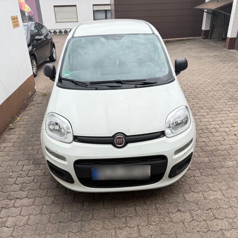 Image of Fiat Panda