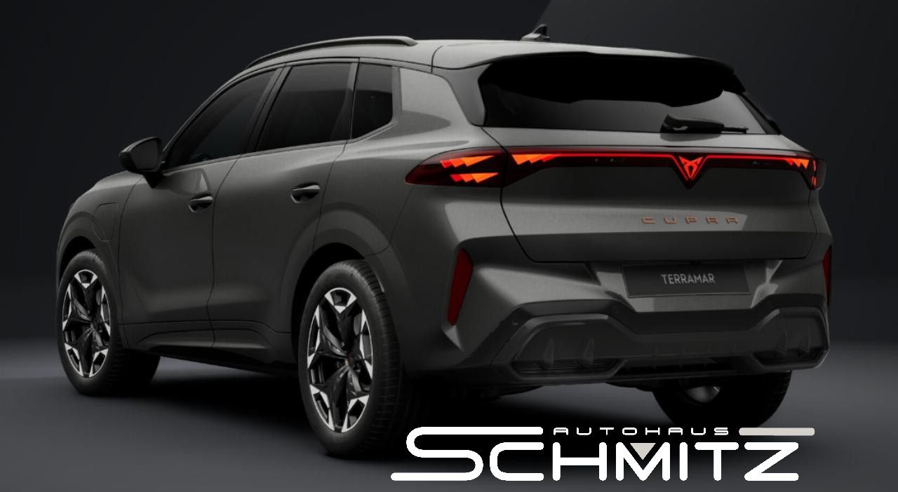 Cupra Terramar - Bild 3