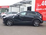 Mazda CX-30 2.0 M-Hybrid Selection 2WD LED Navi ACC - Mazda CX-30 in Dresden