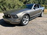Ford Mustang Cabrio Top! - Ford Mustang in Hagen