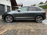 Audi SQ5 3.0 TDI competition tiptronic quattro - - Audi SQ5: Allradantrieb