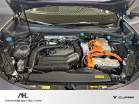 Cupra Terramar - Vorschau Bild 14