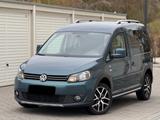 Volkswagen VW Caddy 2.0 TDI |Cross|Tramper|Camping|DS... - Volkswagen Caddy: Tramper
